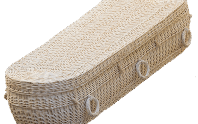 Cromer Wit Wilgenteen