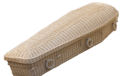 Ecopod Wit Wilgenteen