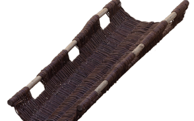 Sarah baar Wilgenteen