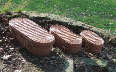 Wiske donker Wilgenteen