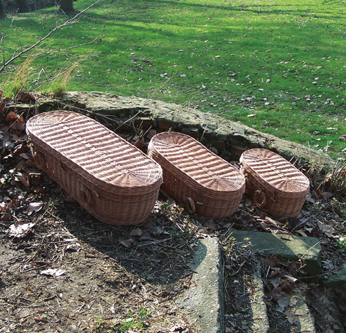 Wiske donker Wilgenteen