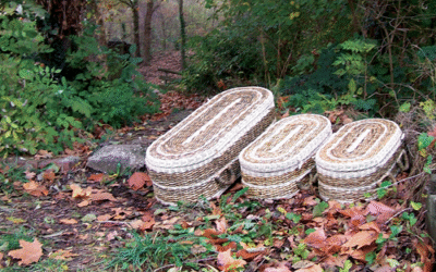 Boris Bananenbladeren