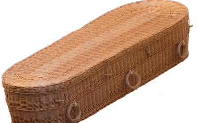 Cromer Donker Wilgenteen