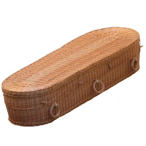 Cromer Donker Wilgenteen