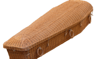 Ecop Donker Wilgenteen