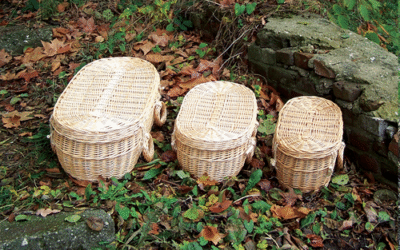 Wiske wit Wilgenteen