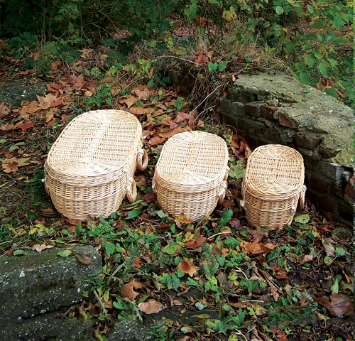 Wiske wit Wilgenteen